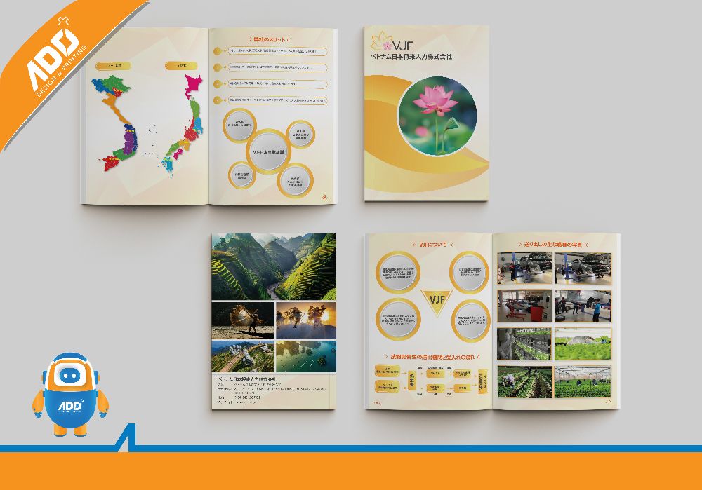 Thiết kế & In ấn Hồ sơ năng lực (Profile)