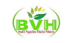 CTY BVH VIỆT NAM 