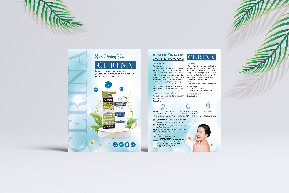 Thiết kế Tờ rơi & Túi Cerina Thái Trung