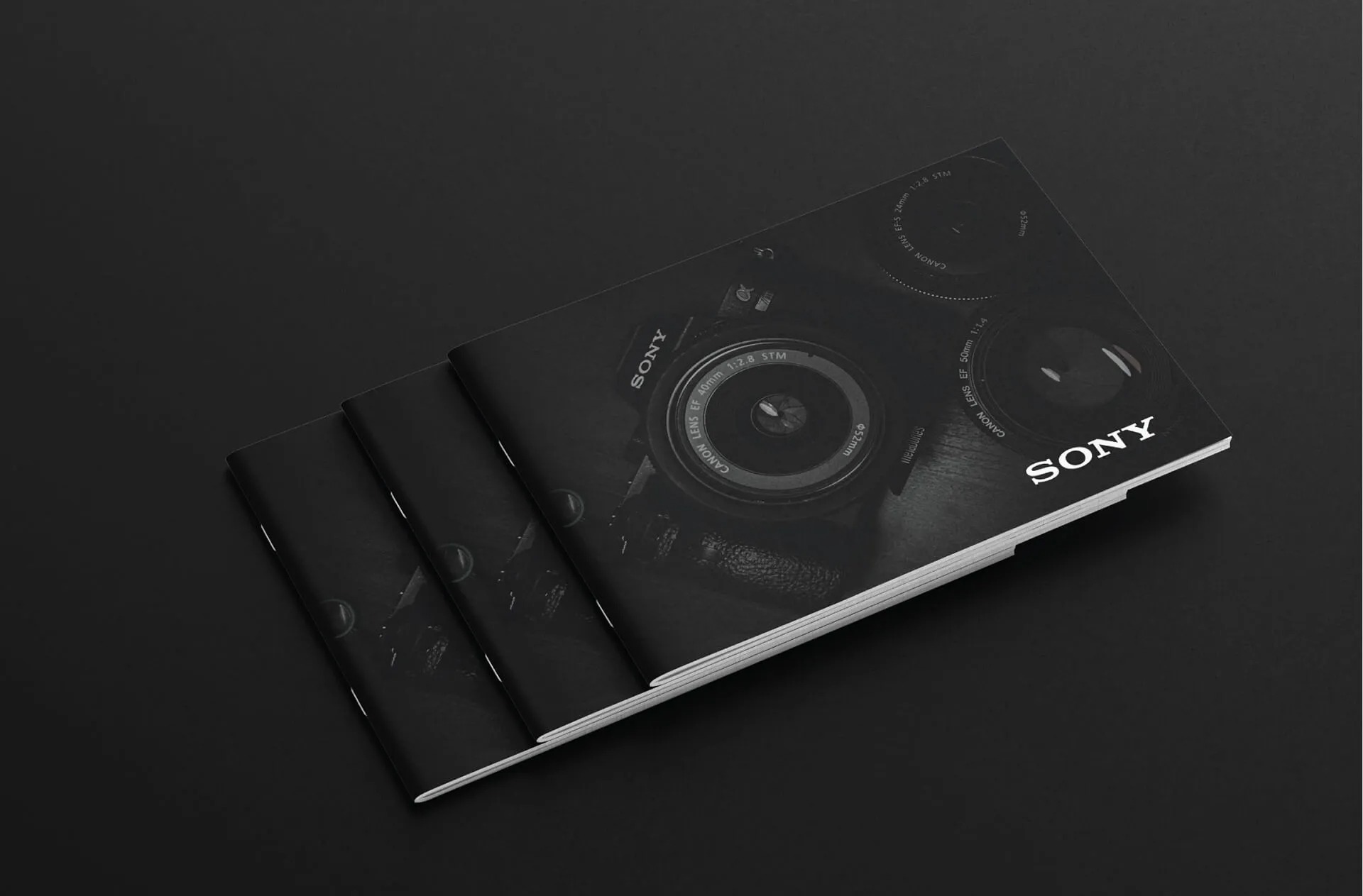 Mẫu Catalogue Máy ảnh Sony (Ảnh Behance)