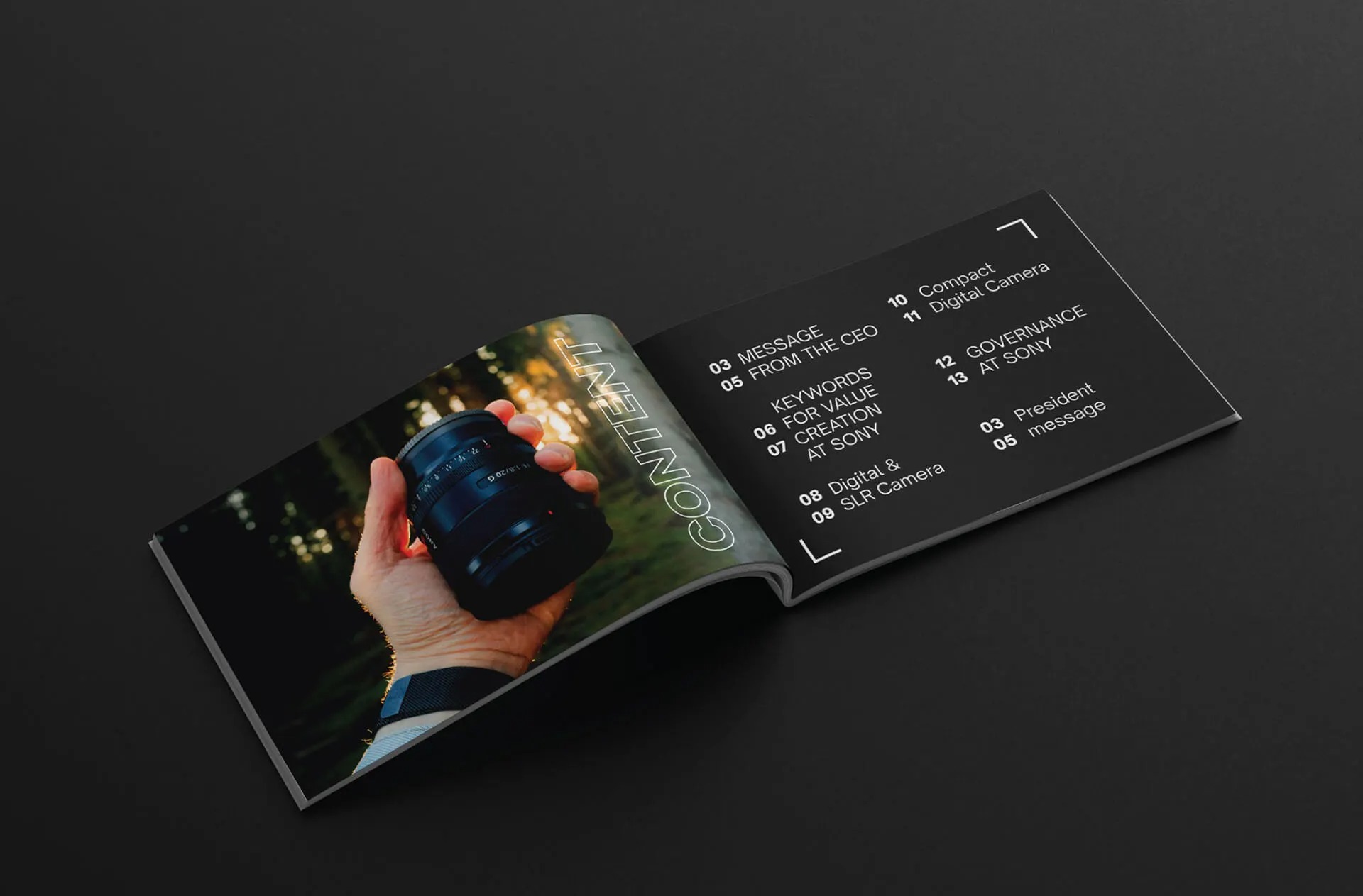 Mẫu Catalogue Máy ảnh Sony (Ảnh Behance)