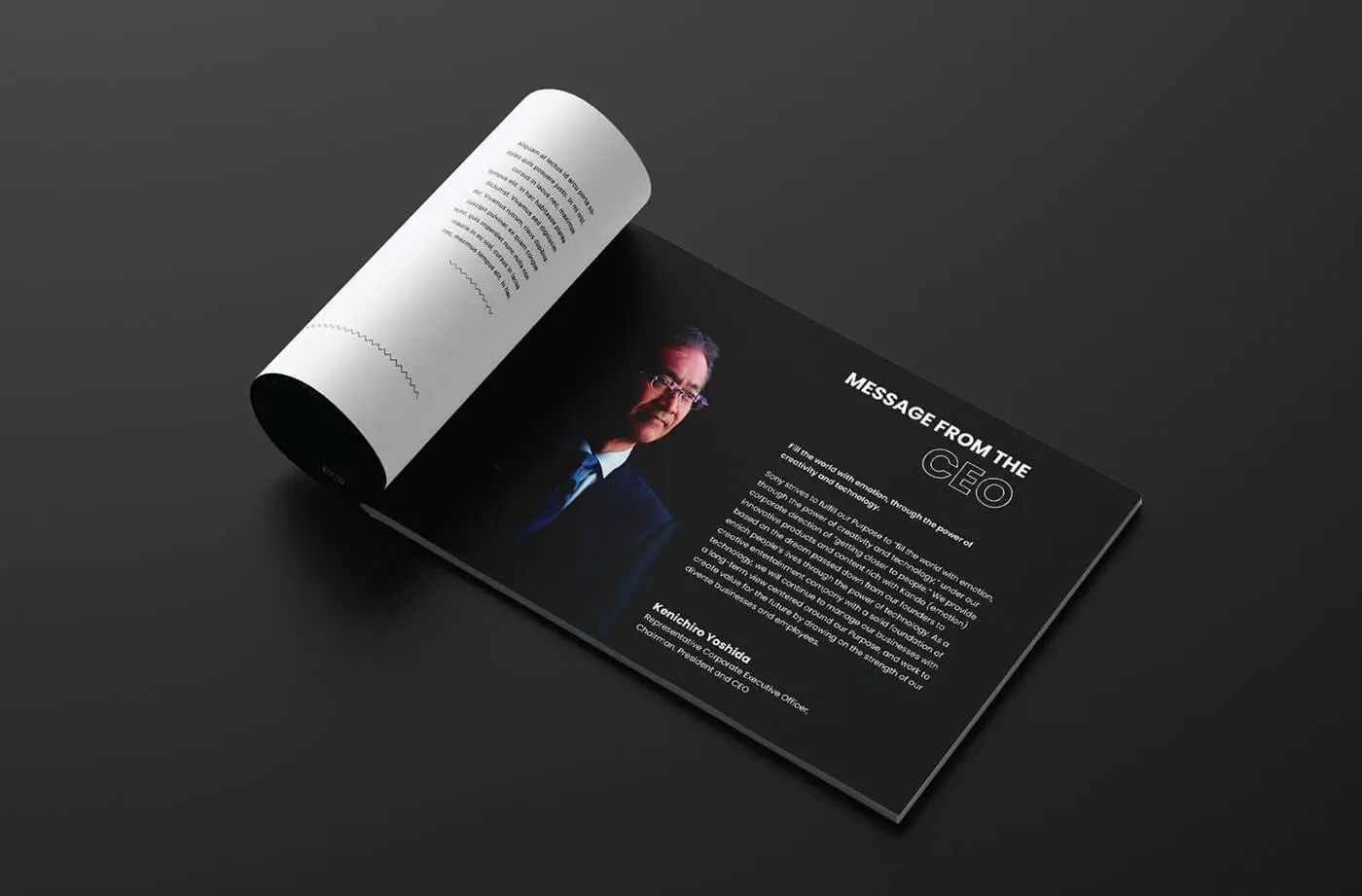 Mẫu Catalogue Máy ảnh Sony (Ảnh Behance)