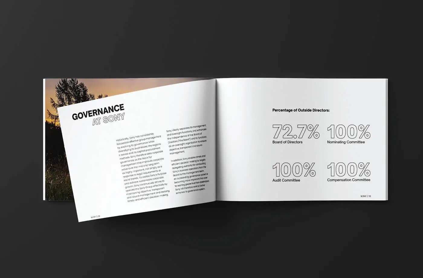 Mẫu Catalogue Máy ảnh Sony (Ảnh Behance)