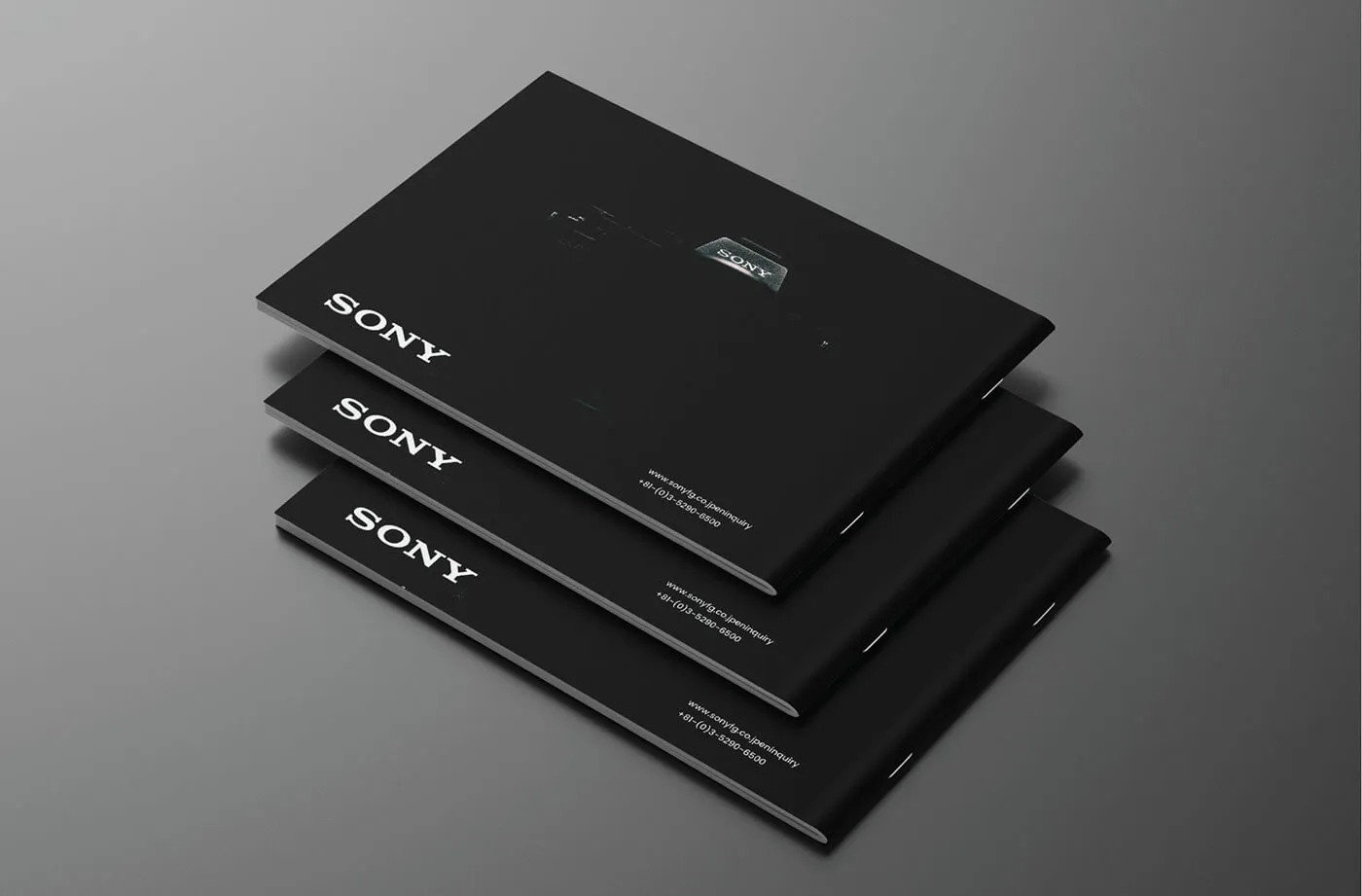Mẫu Catalogue Máy ảnh Sony (Ảnh Behance)