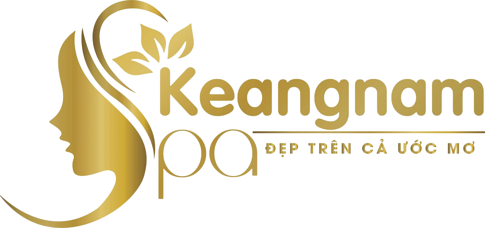 thiêt kế logo spa addesign