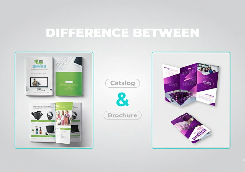 Catalogue vs Brochure – Khác biệt & ứng dụng