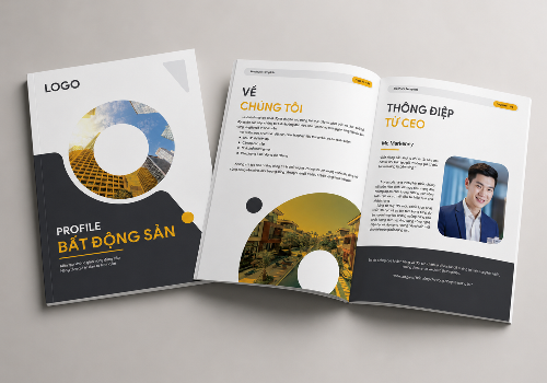 MẪU PROFILE BẤT ĐỘNG SẢN